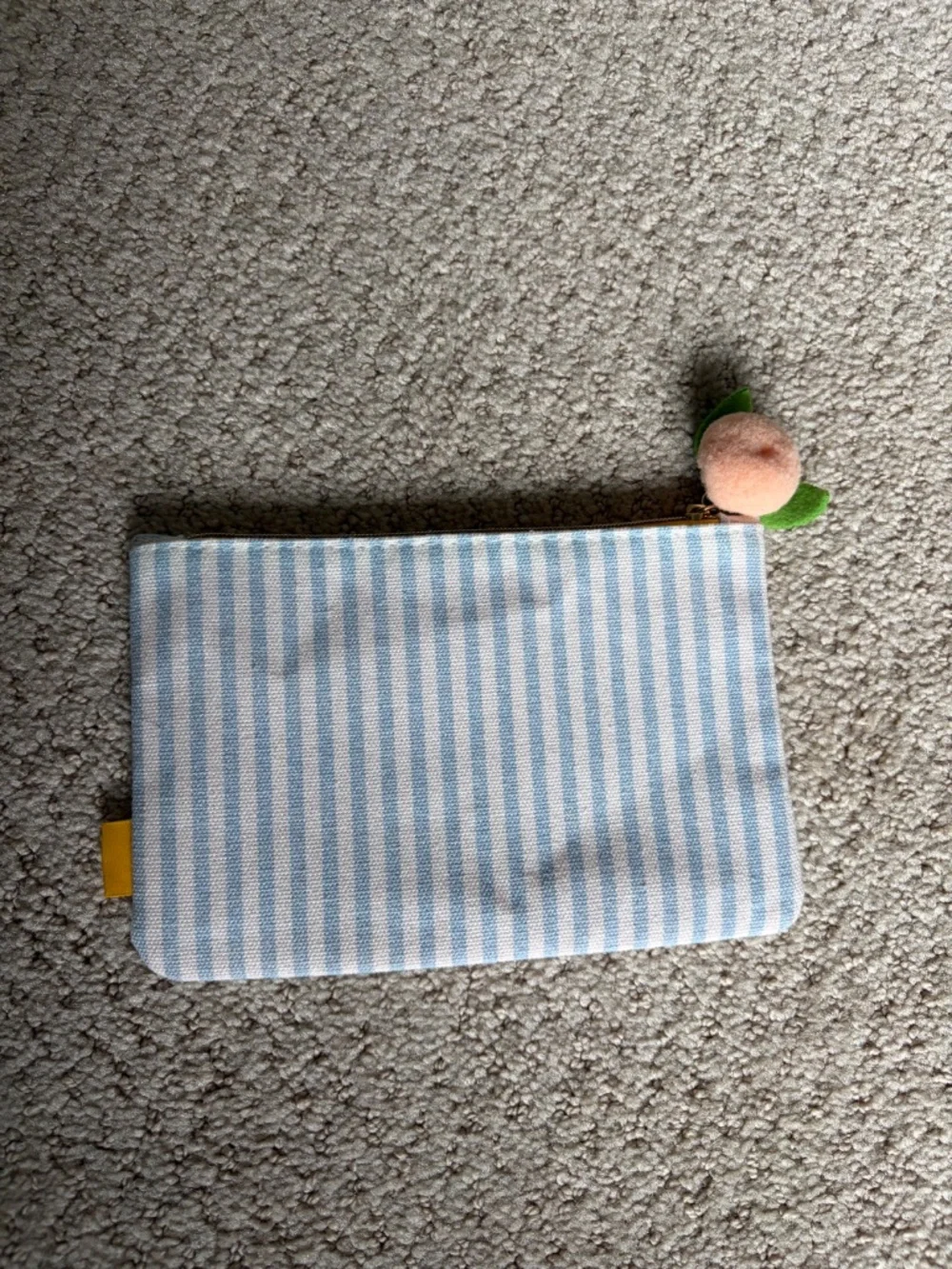 IPSY glam bag Peachy Picnic Pouch blue white stripe